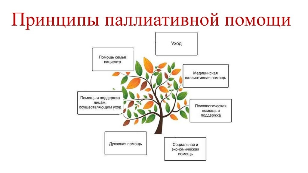 palliative2